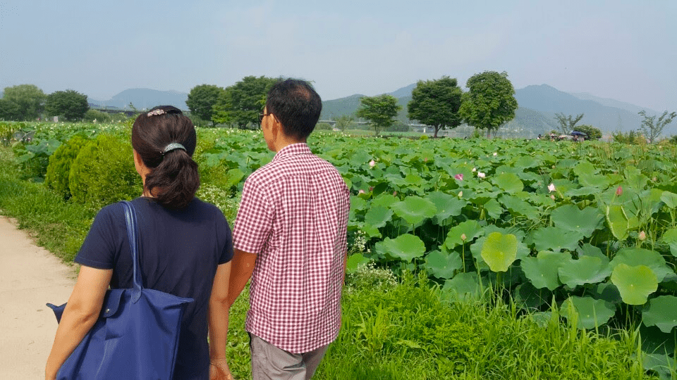 Mom and dad walking together